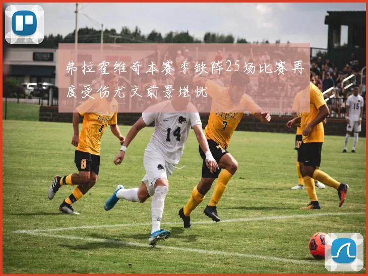 弗拉霍维奇本赛季缺阵25场比赛再度受伤尤文前景堪忧